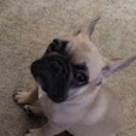 Meet your Posher, Truth - Picture 1 of 1